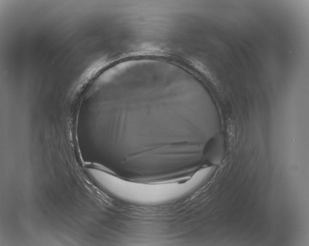 X0000080691455200701051047