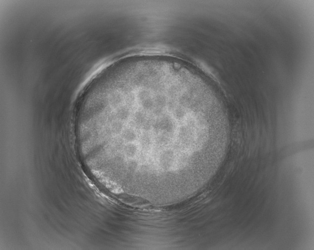 X0000080691456200701051047