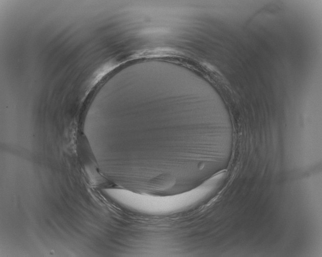 X0000080691457200701051047