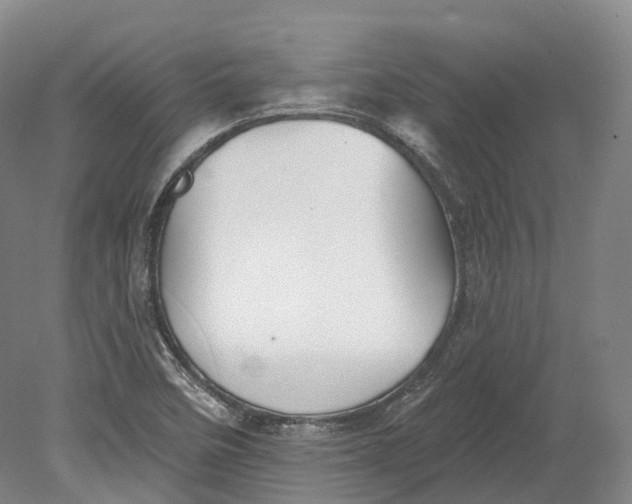 X0000080691458200701051047