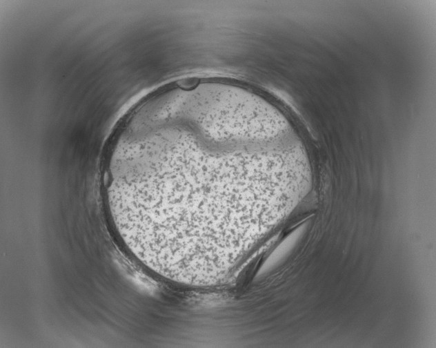 X0000080691460200701051047