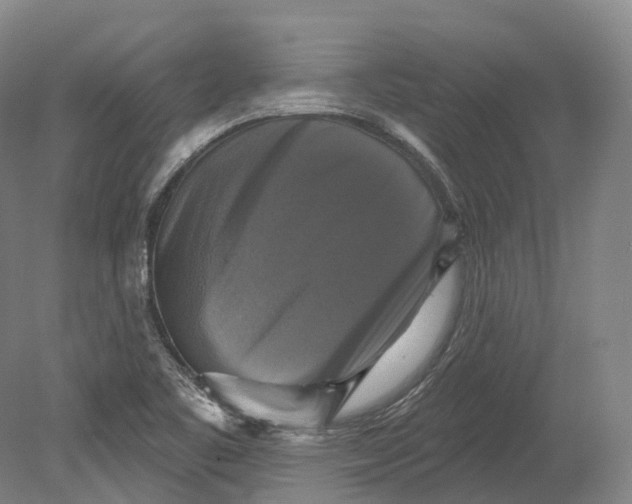 X0000080691461200701051047