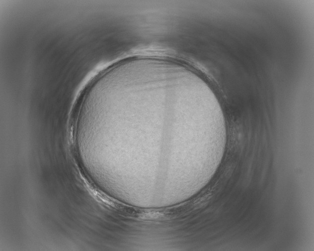 X0000080691462200701051047