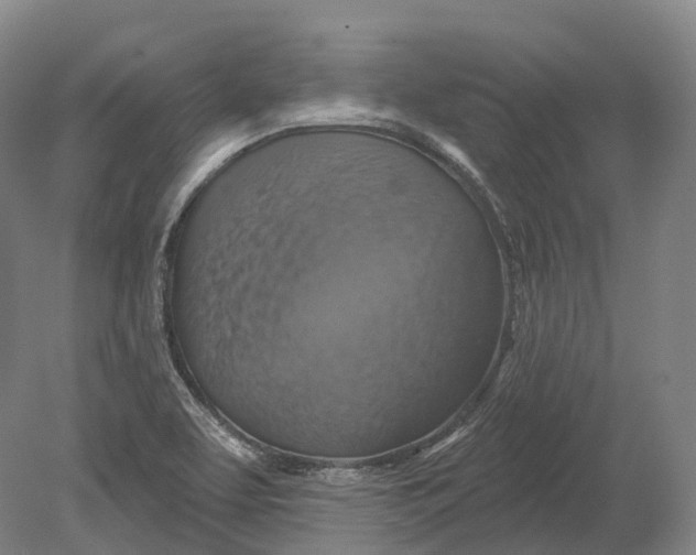 X0000080691463200701051047