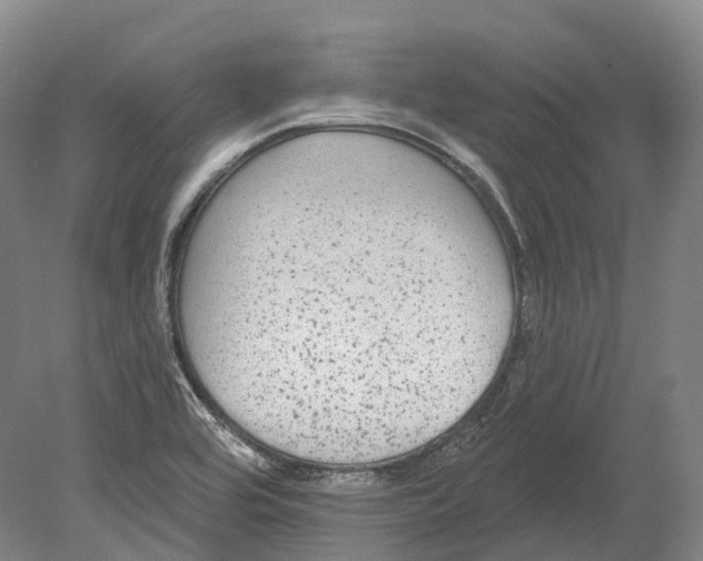 X0000080691464200701051047