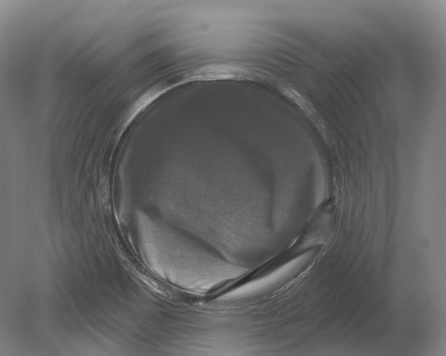 X0000080691465200701051047