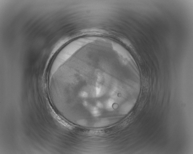 X0000080691466200701051047