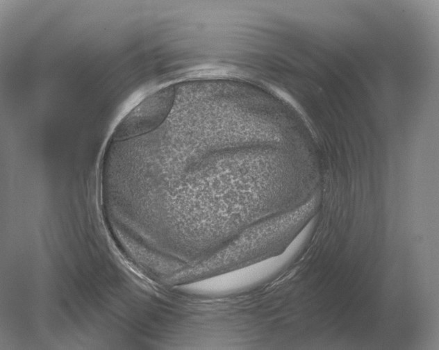 X0000080691467200701051047