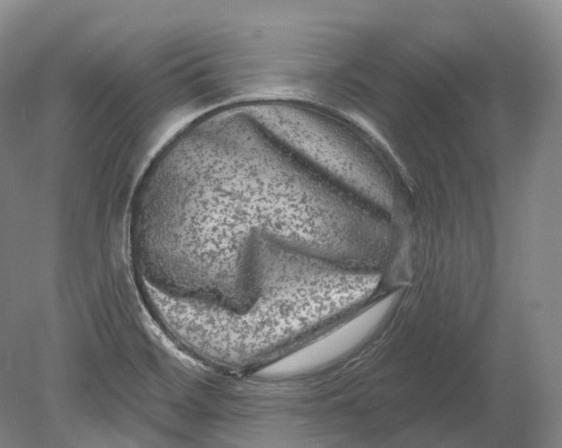 X0000080691468200701051047