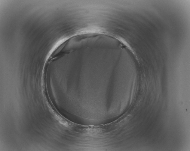 X0000080691469200701051047