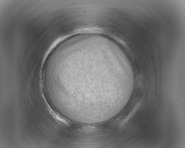 X0000080691470200701051047