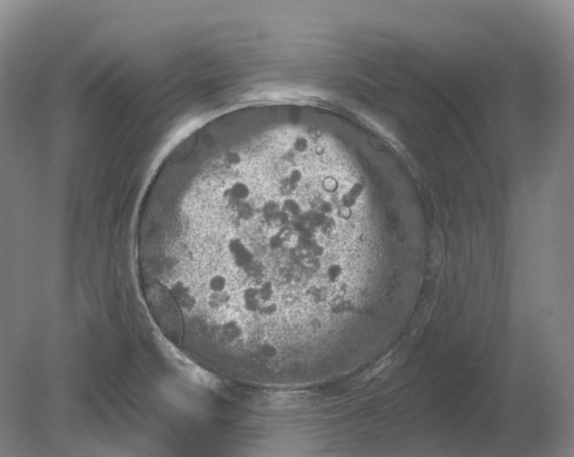 X0000080691471200701051047