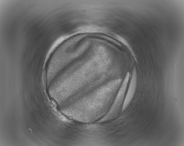 X0000080691472200701051047