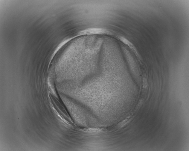 X0000080691473200701051047