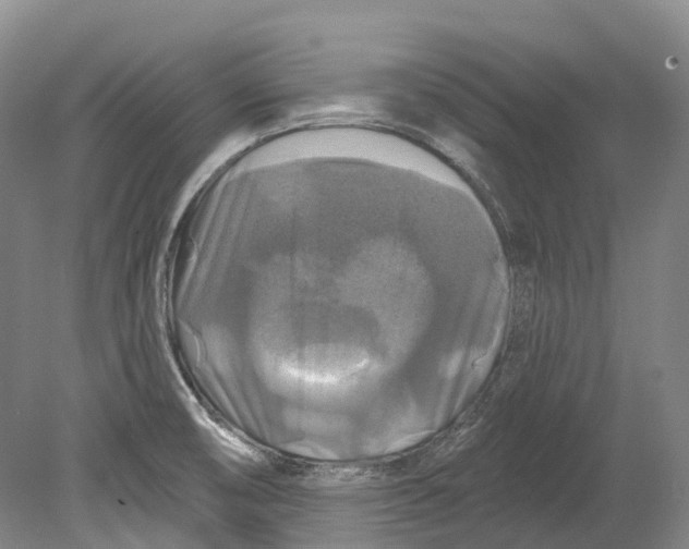 X0000080691474200701051047