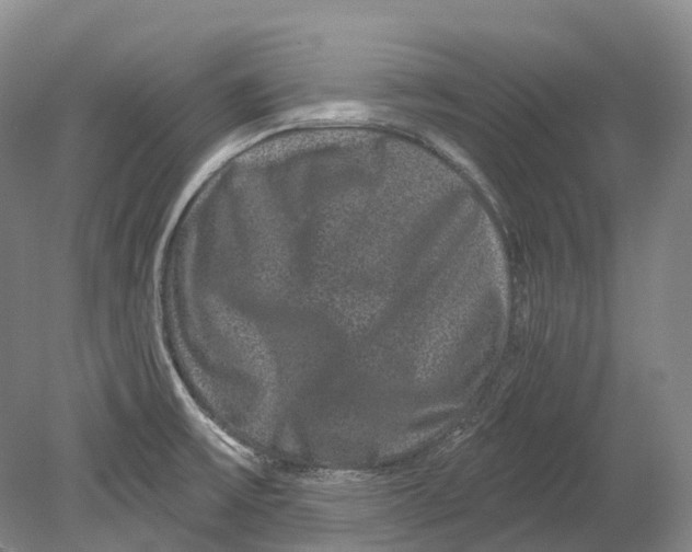 X0000080691475200701051047