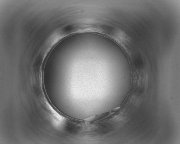 X0000080691476200701051047