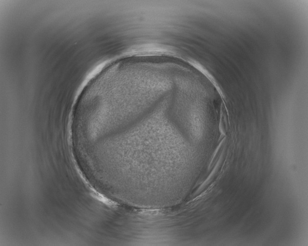 X0000080691477200701051047