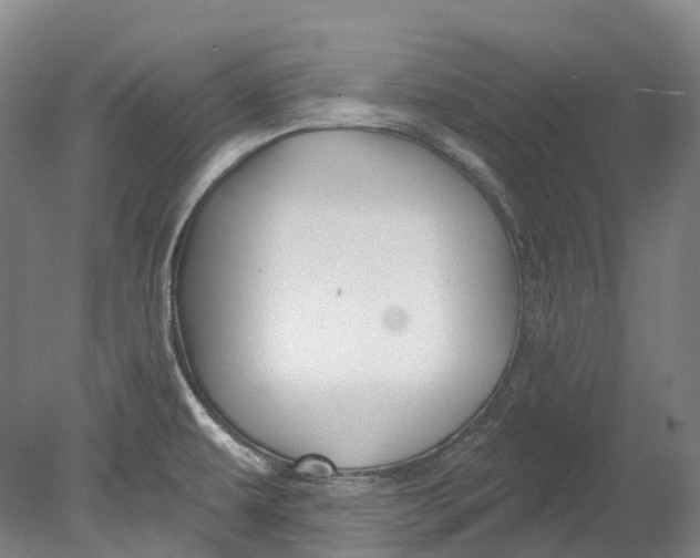 X0000080691479200701051047