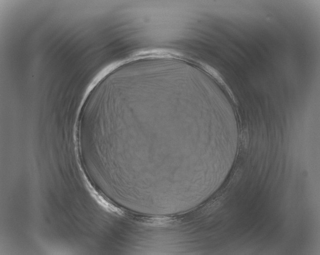 X0000080691482200701051047