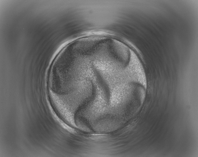 X0000080691483200701051047