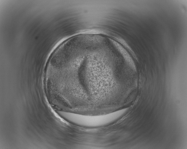 X0000080691484200701051047