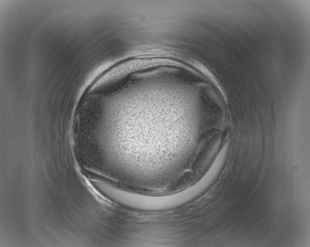 X0000080691485200701051047