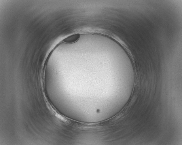 X0000080691486200701051047