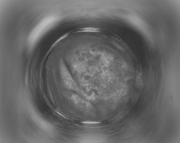 X0000080691487200701051047