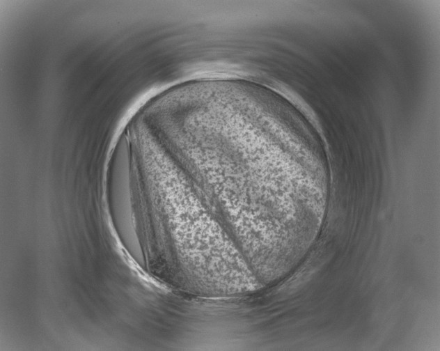 X0000080691488200701051047