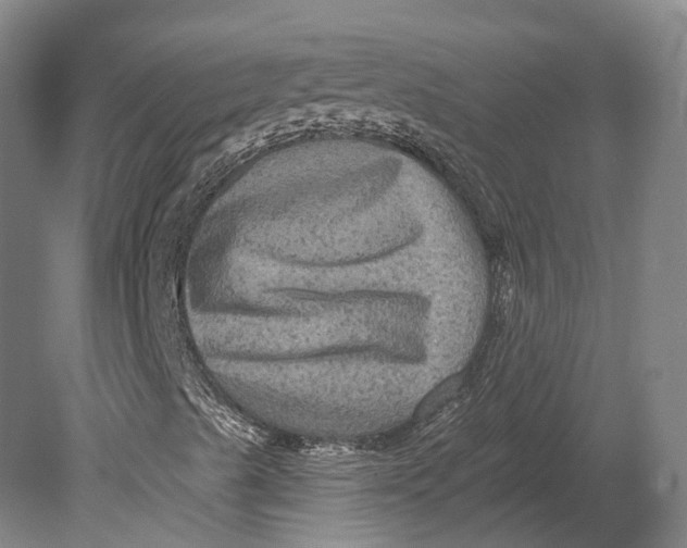 X0000080691489200701051046