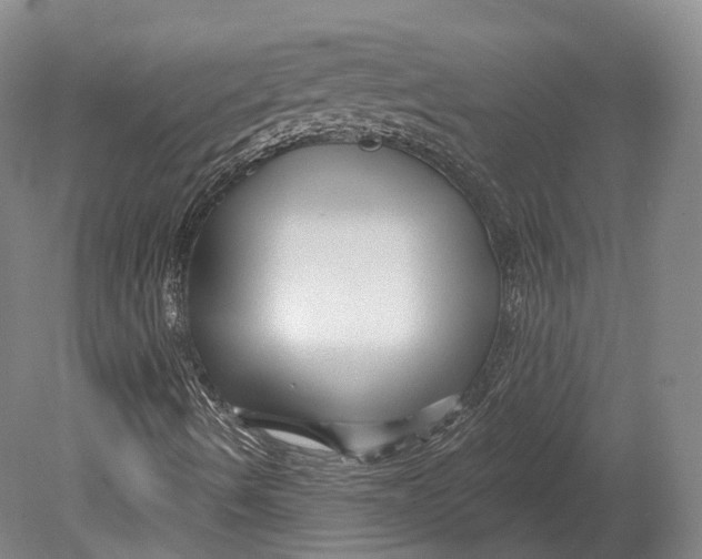 X0000080691490200701051046