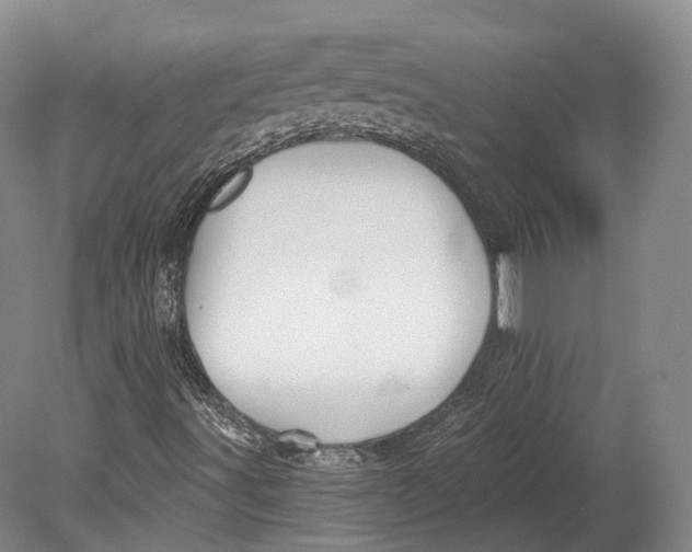 X0000080691491200701051046