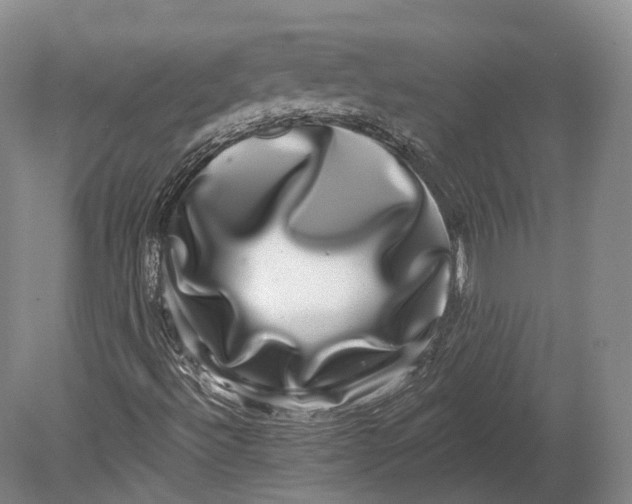 X0000080691492200701051046