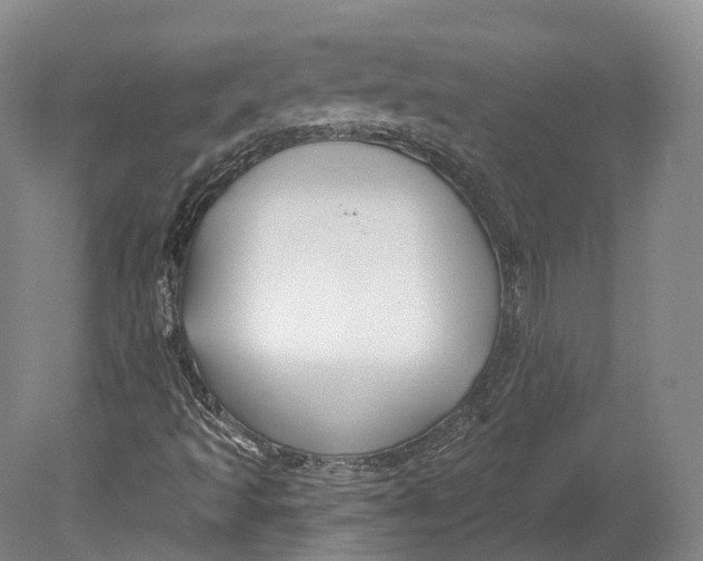 X0000080691493200701051046