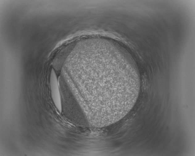 X0000080691494200701051046