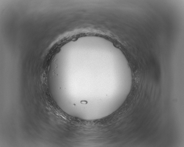 X0000080691495200701051046