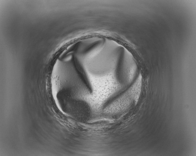 X0000080691496200701051046