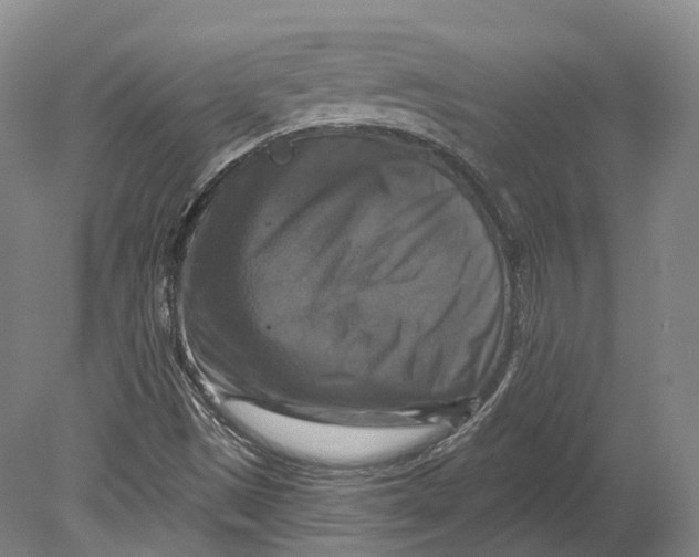 X0000080691497200701051046