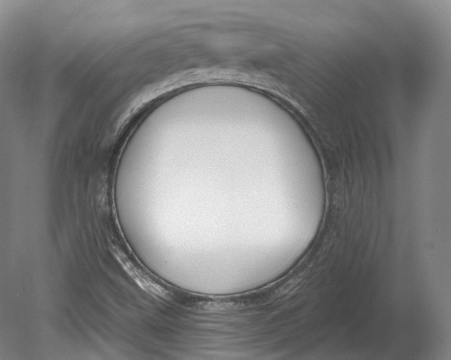 X0000080691499200701051046