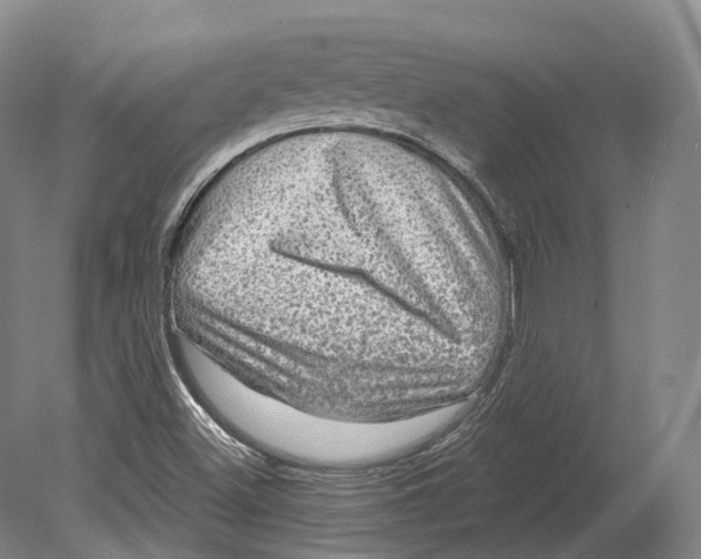 X0000080691500200701051046