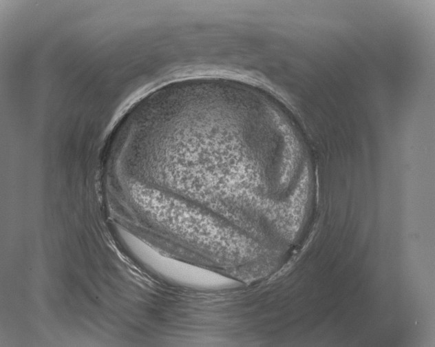 X0000080691501200701051046