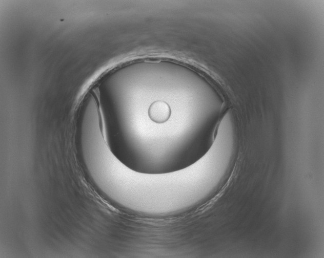 X0000080691502200701051046