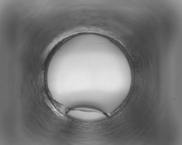 X0000080691503200701051046