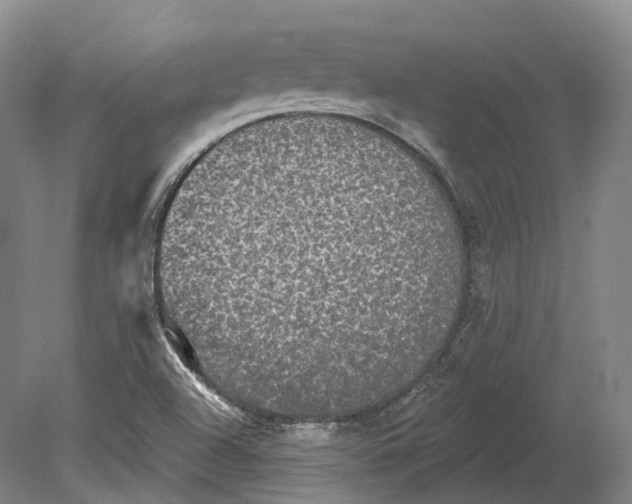 X0000080691504200701051046