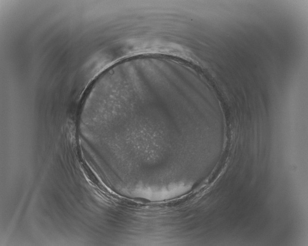 X0000080691505200701051046