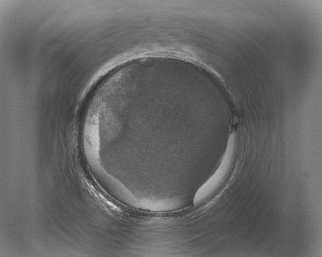 X0000080691506200701051046