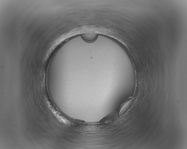 X0000080691507200701051046