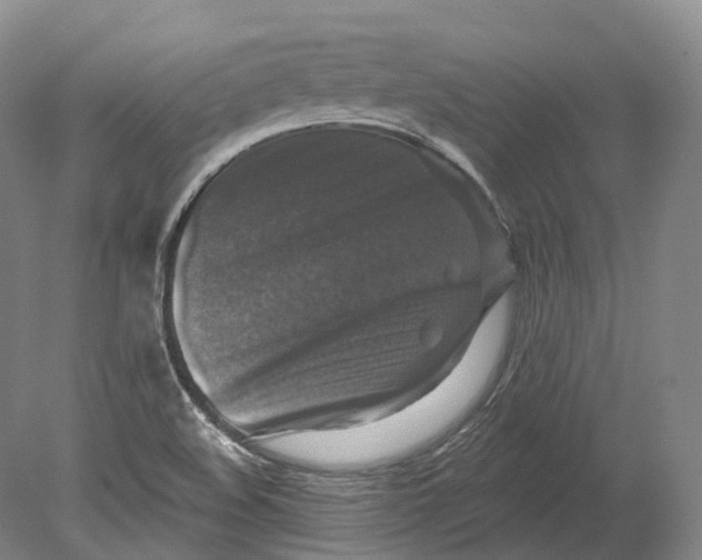 X0000080691508200701051046