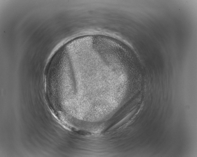 X0000080691509200701051046